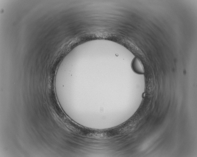 X0000086050639200704202037