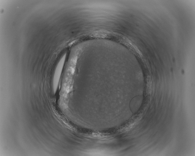 X0000086050641200704202037