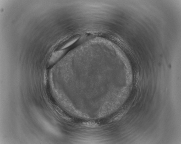 X0000086050644200704202037