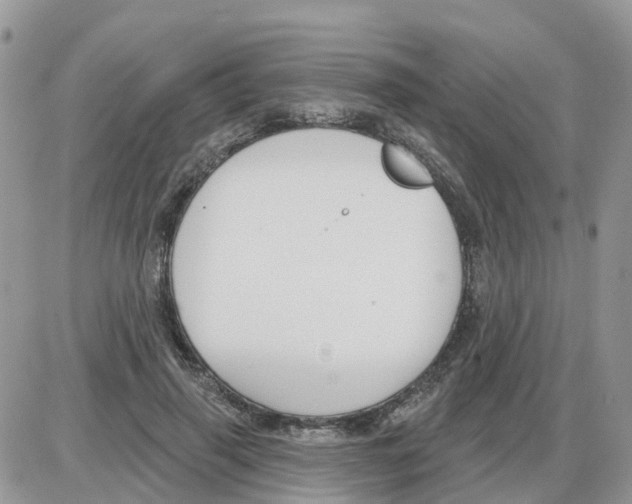 X0000086050645200704202037