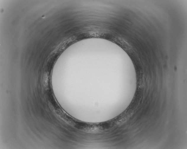 X0000086050646200704202037