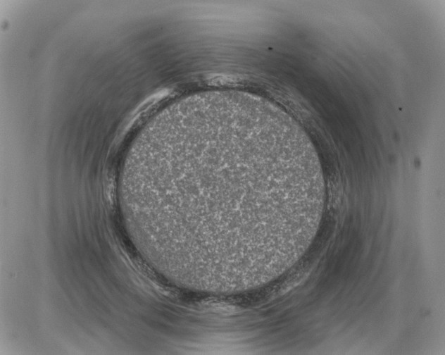 X0000086050648200704202037