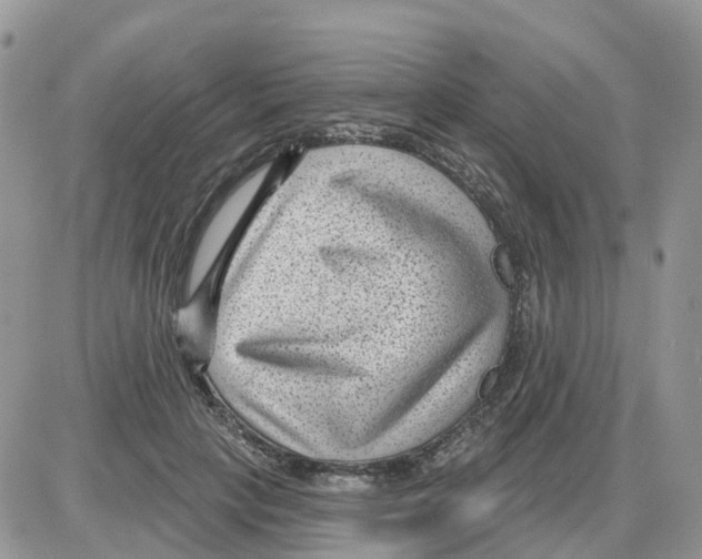 X0000086050649200704202037