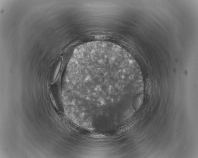 X0000086050650200704202037