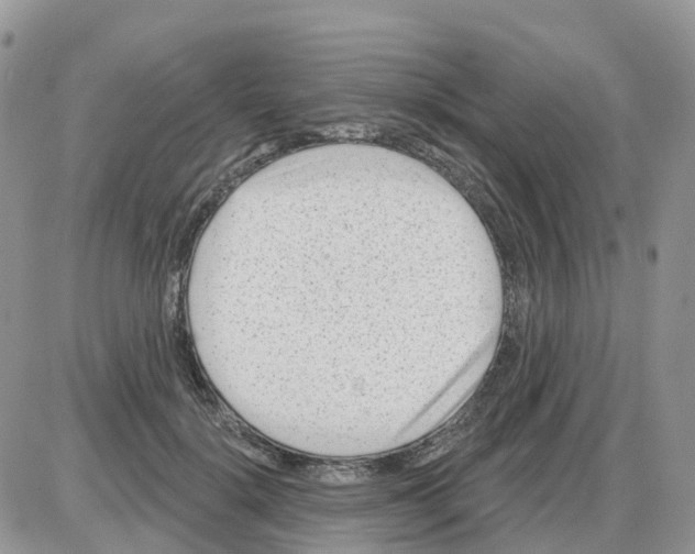 X0000086050652200704202037