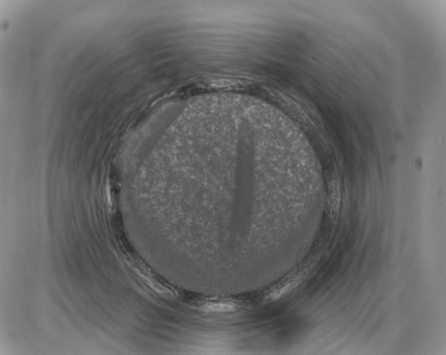 X0000086050653200704202037