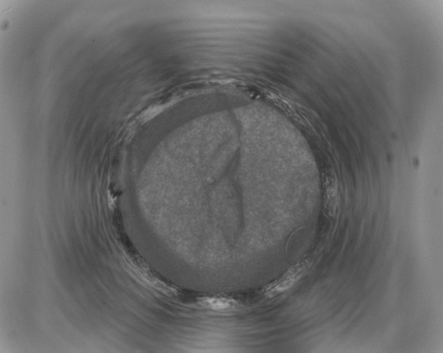 X0000086050654200704202037