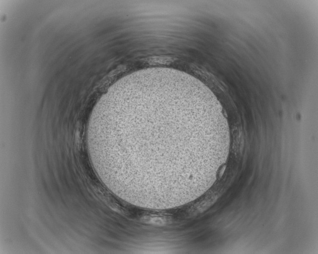 X0000086050655200704202037