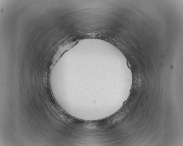 X0000086050656200704202037