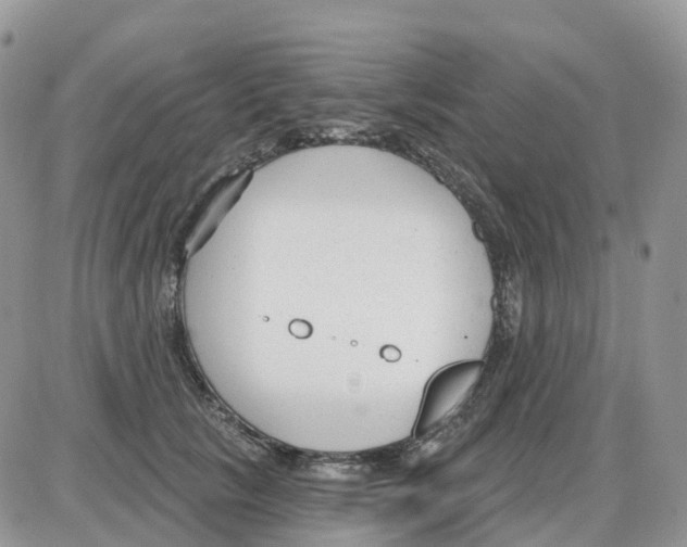 X0000086050657200704202037