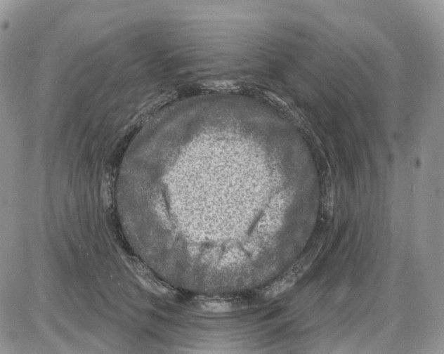 X0000086050658200704202037