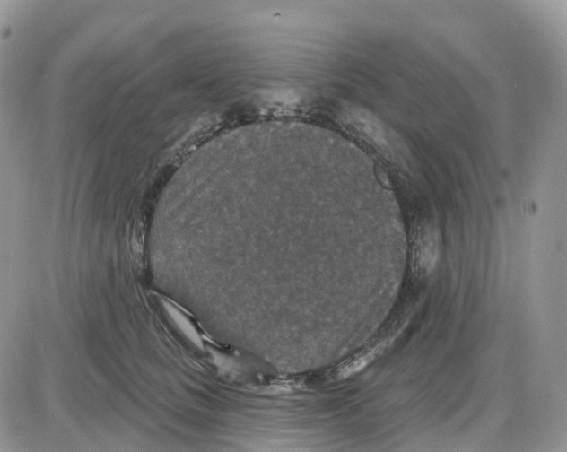 X0000086050661200704202037