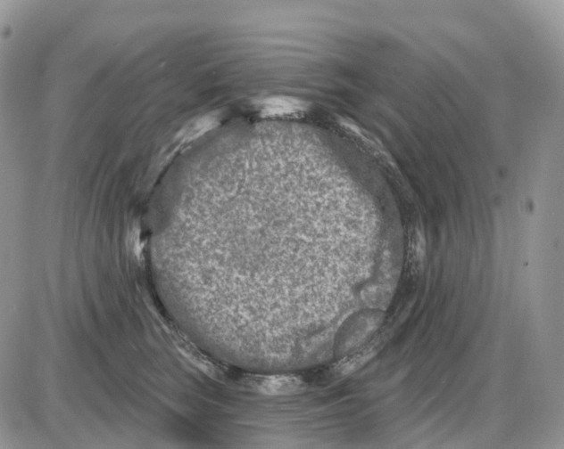 X0000086050663200704202037