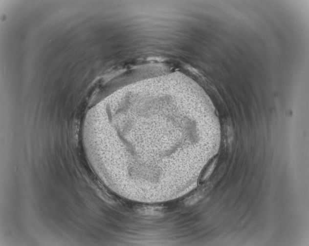 X0000086050664200704202037