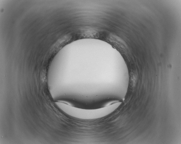 X0000086050665200704202037