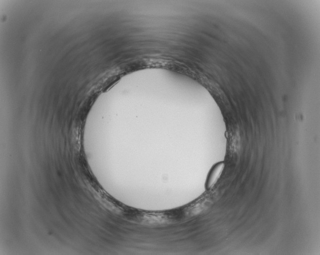 X0000086050666200704202037