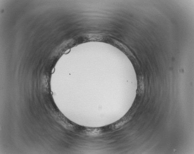 X0000086050667200704202037