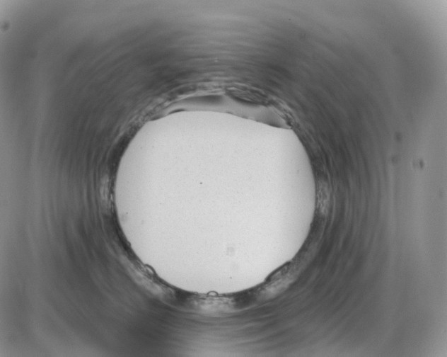 X0000086050670200704202037