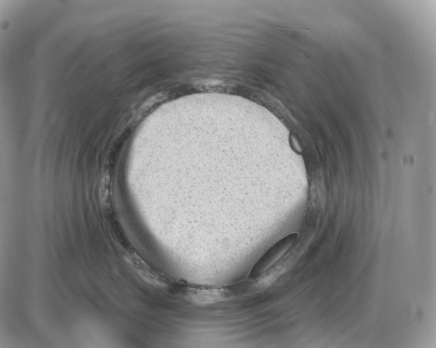 X0000086050671200704202037