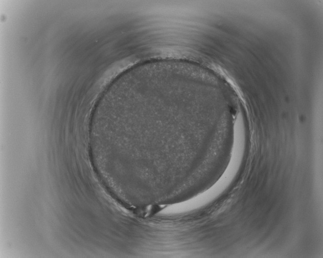 X0000086050673200704202037