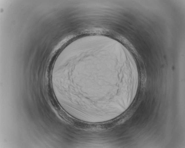 X0000086050674200704202037