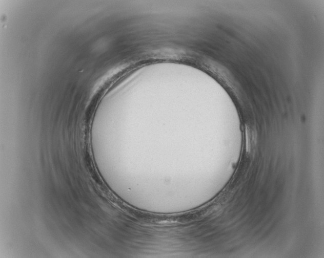 X0000086050675200704202036