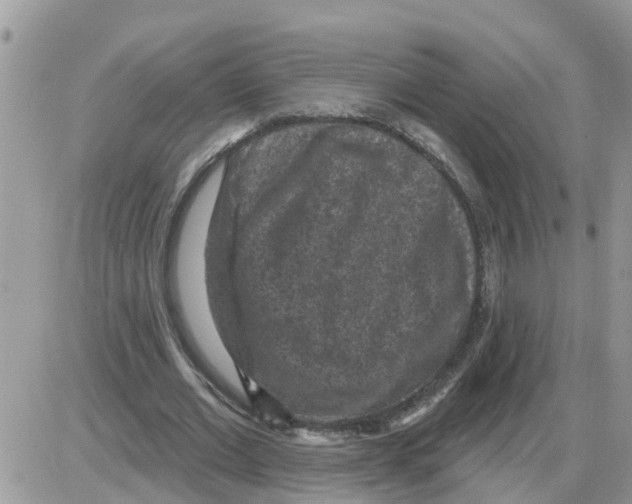 X0000086050677200704202036