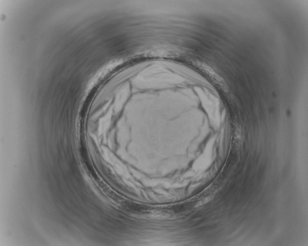 X0000086050678200704202036