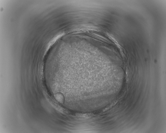 X0000086050679200704202036