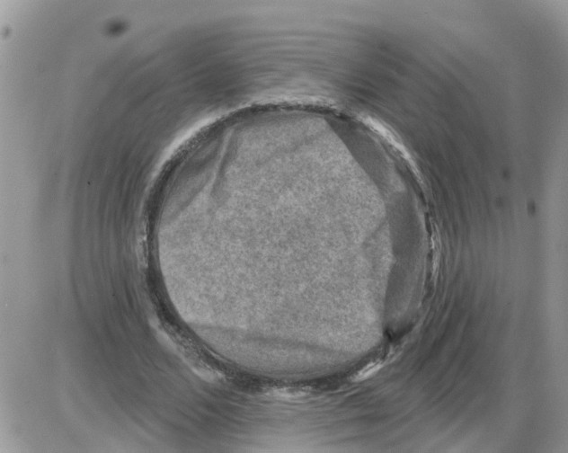 X0000086050680200704202036