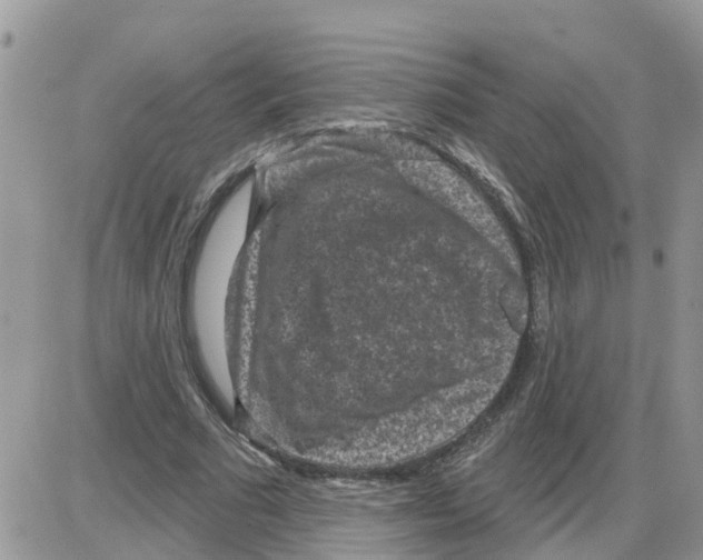 X0000086050681200704202036