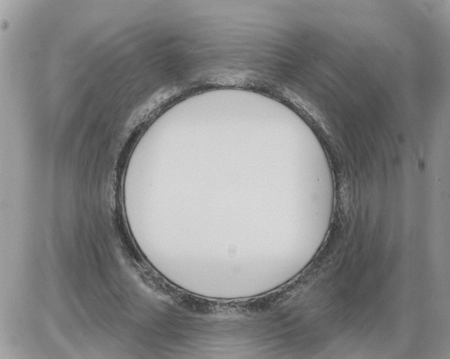 X0000086050682200704202036