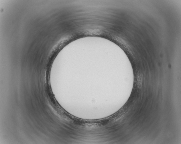 X0000086050686200704202036