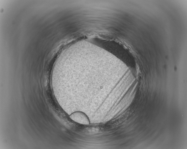 X0000086050687200704202036