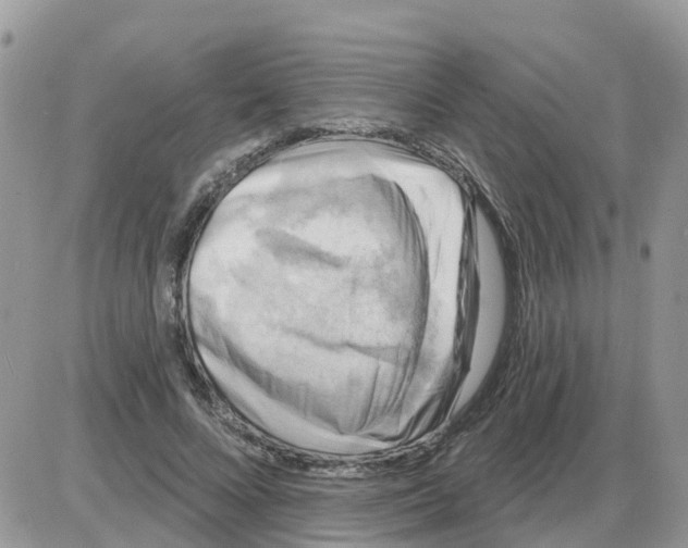 X0000086050688200704202036