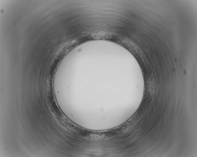 X0000086050690200704202036