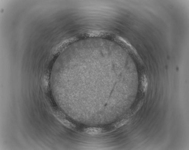 X0000086050691200704202036