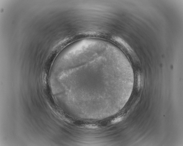 X0000086050692200704202036