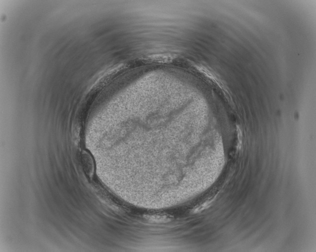 X0000086050693200704202036