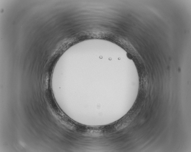 X0000086050694200704202036