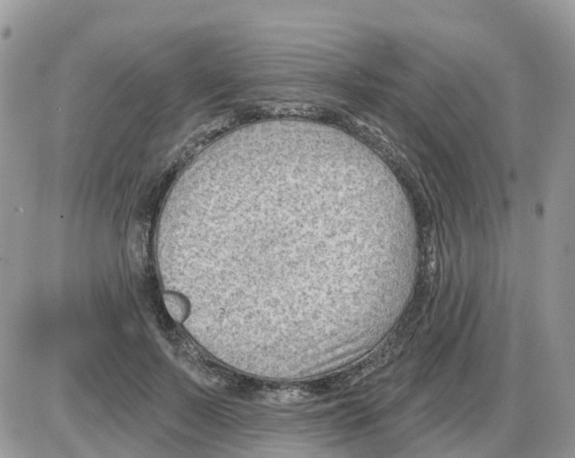 X0000086050695200704202036