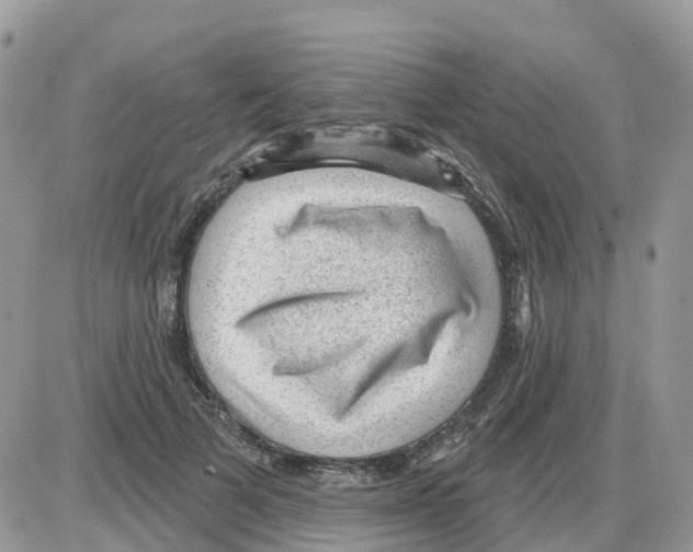 X0000086050697200704202036