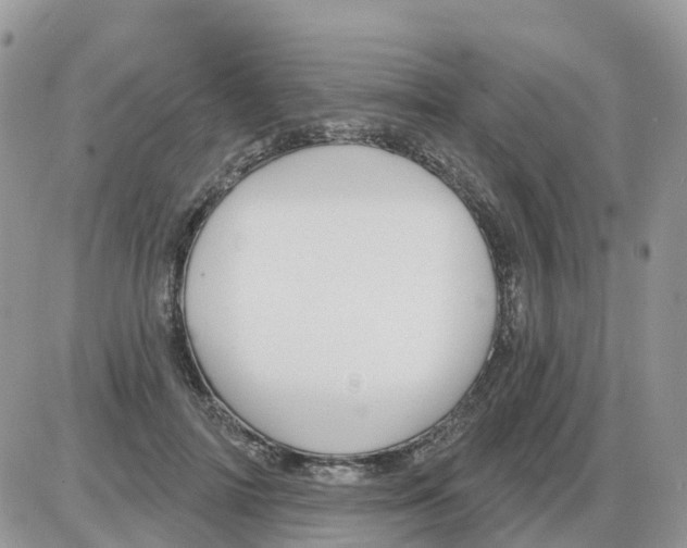 X0000086050698200704202036