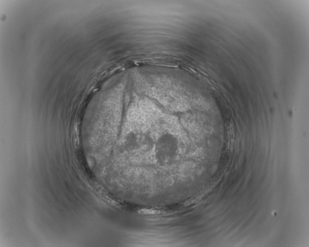 X0000086050699200704202036