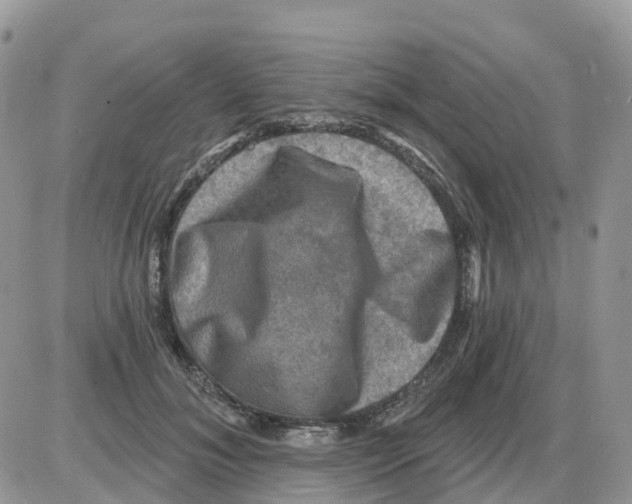 X0000086050700200704202036