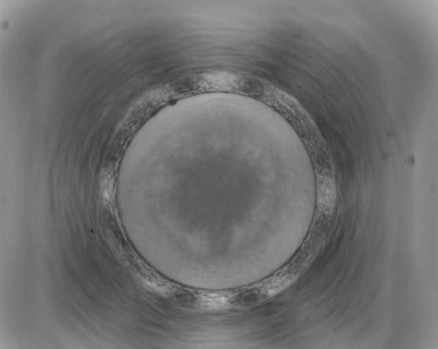 X0000086050701200704202036