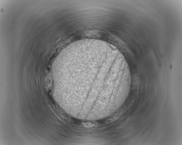 X0000086050703200704202036