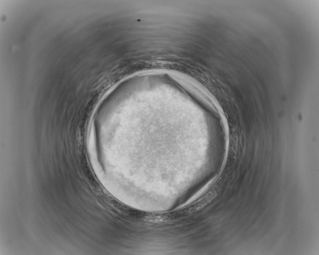 X0000086050704200704202036