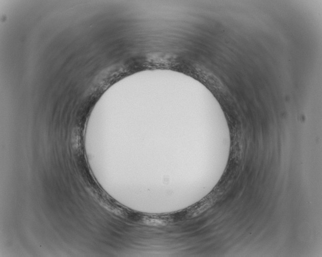 X0000086050706200704202036