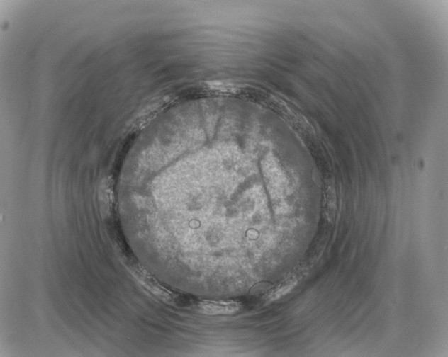 X0000086050707200704202036